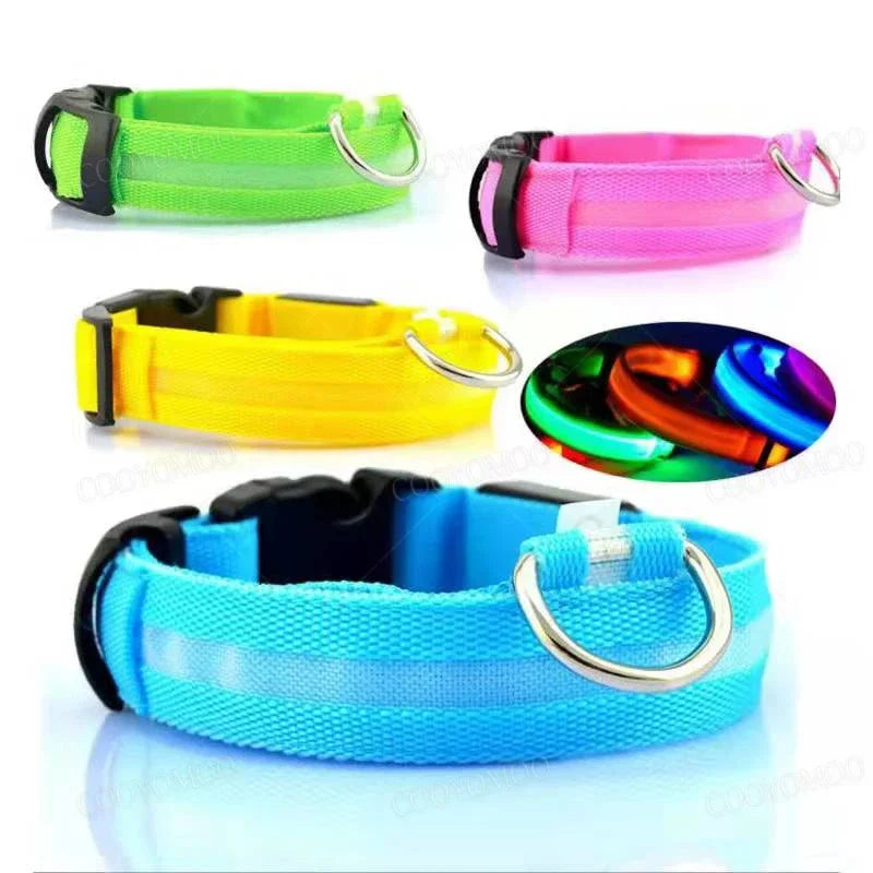 Cats & Dog Led Luminous USB Charge Collar