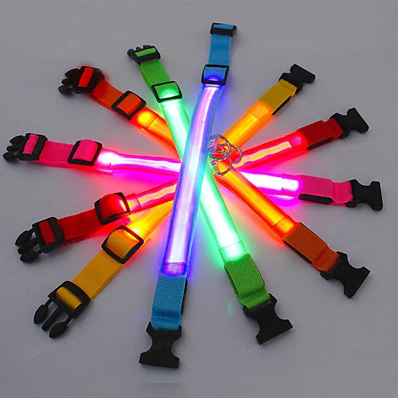 Cats & Dog Led Luminous USB Charge Collar