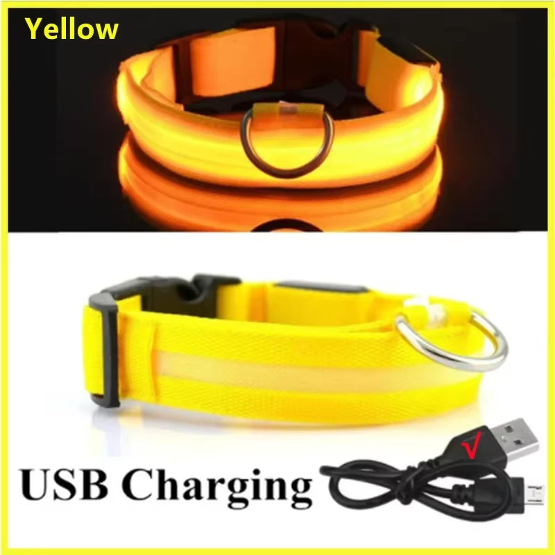 Cats & Dog Led Luminous USB Charge Collar