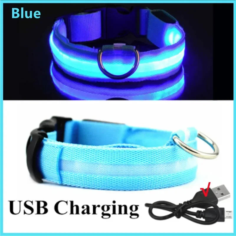Cats & Dog Led Luminous USB Charge Collar
