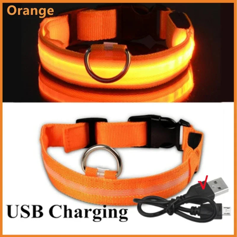 Cats & Dog Led Luminous USB Charge Collar