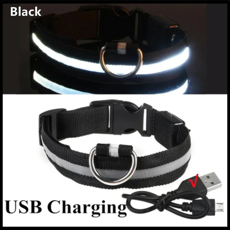 Cats & Dog Led Luminous USB Charge Collar