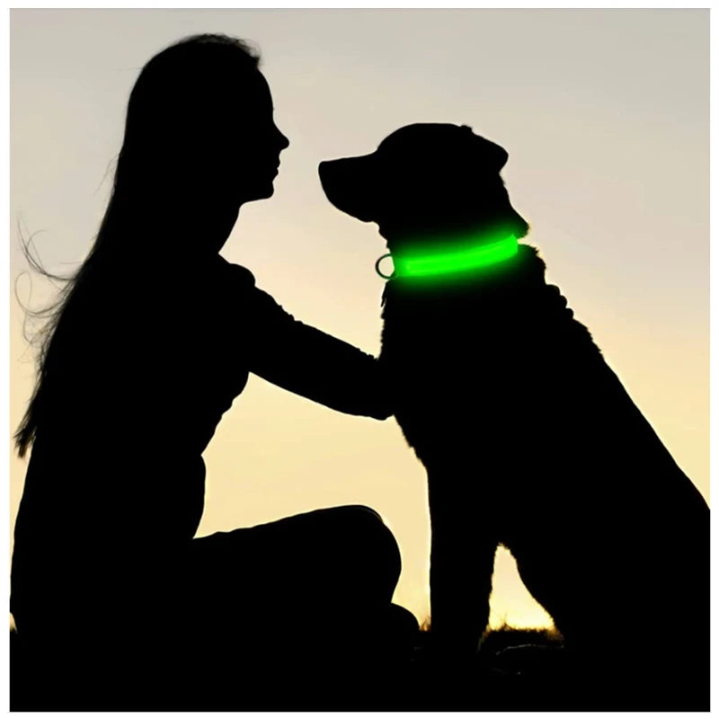Cats & Dog Led Luminous USB Charge Collar