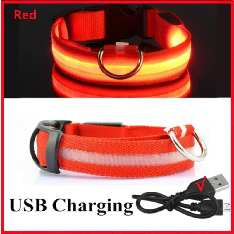 Cats & Dog Led Luminous USB Charge Collar