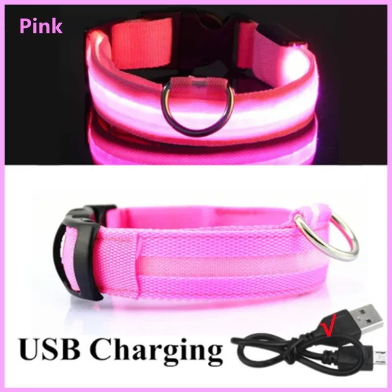 Cats & Dog Led Luminous USB Charge Collar