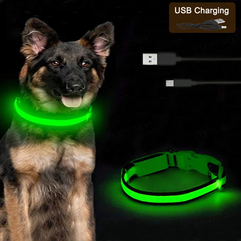 Cats & Dog Led Luminous USB Charge Collar