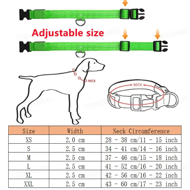 Cats & Dog Led Luminous USB Charge Collar